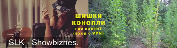 сатива Козловка