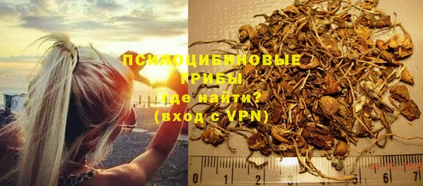 стаф Козельск