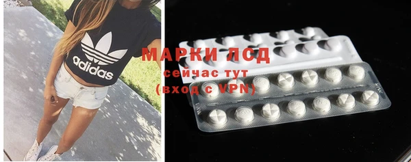 сатива Козловка