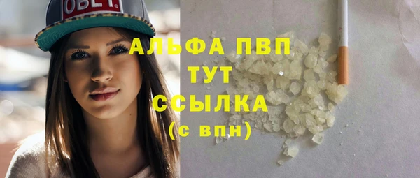 сатива Козловка