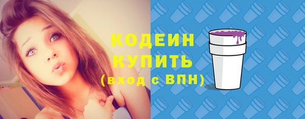 прущий лед Кодинск