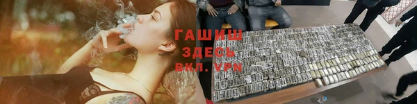 стаф Козельск