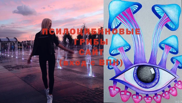 стаф Козельск