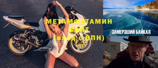 сатива Козловка