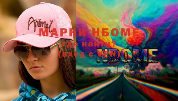 стаф Козельск